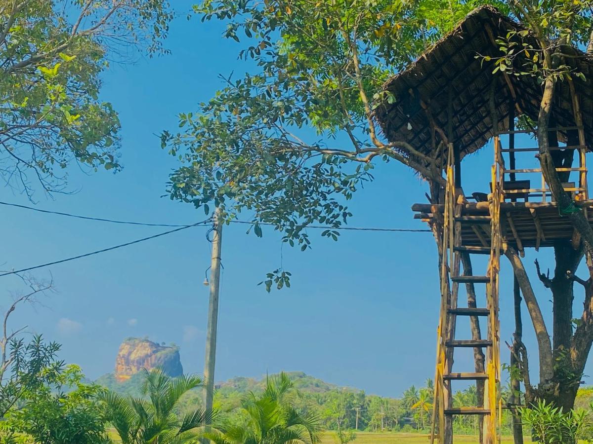 Sigiri Lucky View Villa Sigiriya Exterior foto